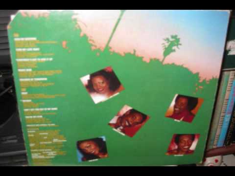 The 5th Dimension - Turn My Love Away (1978)