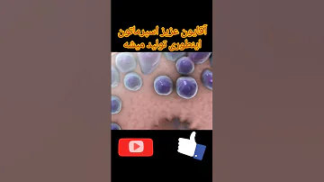 تولید اسپرم در بیضه ها بارداری Medicine Science ناباروری Spermatozoa 