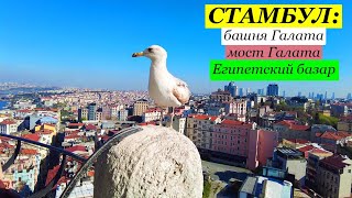 СТАМБУЛ. Башня Галата и мост. Египетский базар.