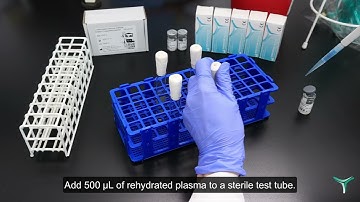 Coagulase test - detection of Staphylococcus aureus using rabbit plasma