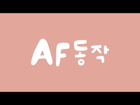 AF동작은 어떻게 설정하지? | 카메라 초보 탈출엔 캐논Easy | 