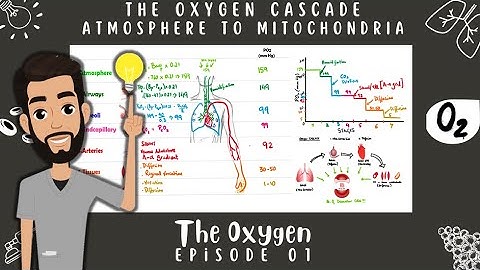 Oxygen Cascade- Basic Concept: THE OXYGEN: Episode 01