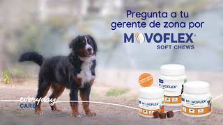 MOVOFLEX® Soft chews, la nueva generación de suplementos para cuidar la salud articular screenshot 1