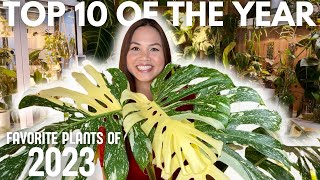 Green Marvels of 2023: Revealing My Top 10 Plants! ✨