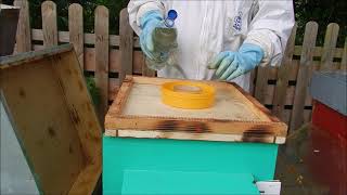 Abeilles Nourrissement avec 2 types de nourrisseurs et du sirop de sucre et vinaigre   2 septembre