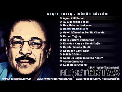 Neşet Ertaş - Dağlar Dağladı Beni