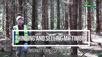 Thinning and selling my timber - a forest owner