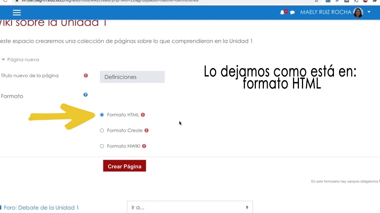 Como se puede crear una pagina web