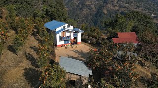 Mountain Rural Area Organic Orange Farm Visit | Village Kitchen Nepal | Nepali People in Village