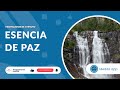 Meditación de 1 minuto: Esencia de paz