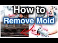 HOW TO REMOVE MOLD FROM YOUR WASHING MACHINE | FRONT LOAD GASKET MOLD REMOVAL