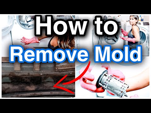 HOW TO REMOVE MOLD FROM YOUR WASHING MACHINE | FRONT LOAD GASKET MOLD REMOVAL