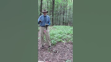 Keep Your Dowsing Rods To Yourself--Short#dowsing #dowsingrods #observereffect