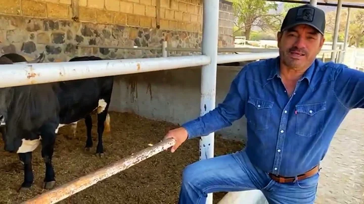 FEDERICO FIGUEROA da su OPINION de los JINETES , N...
