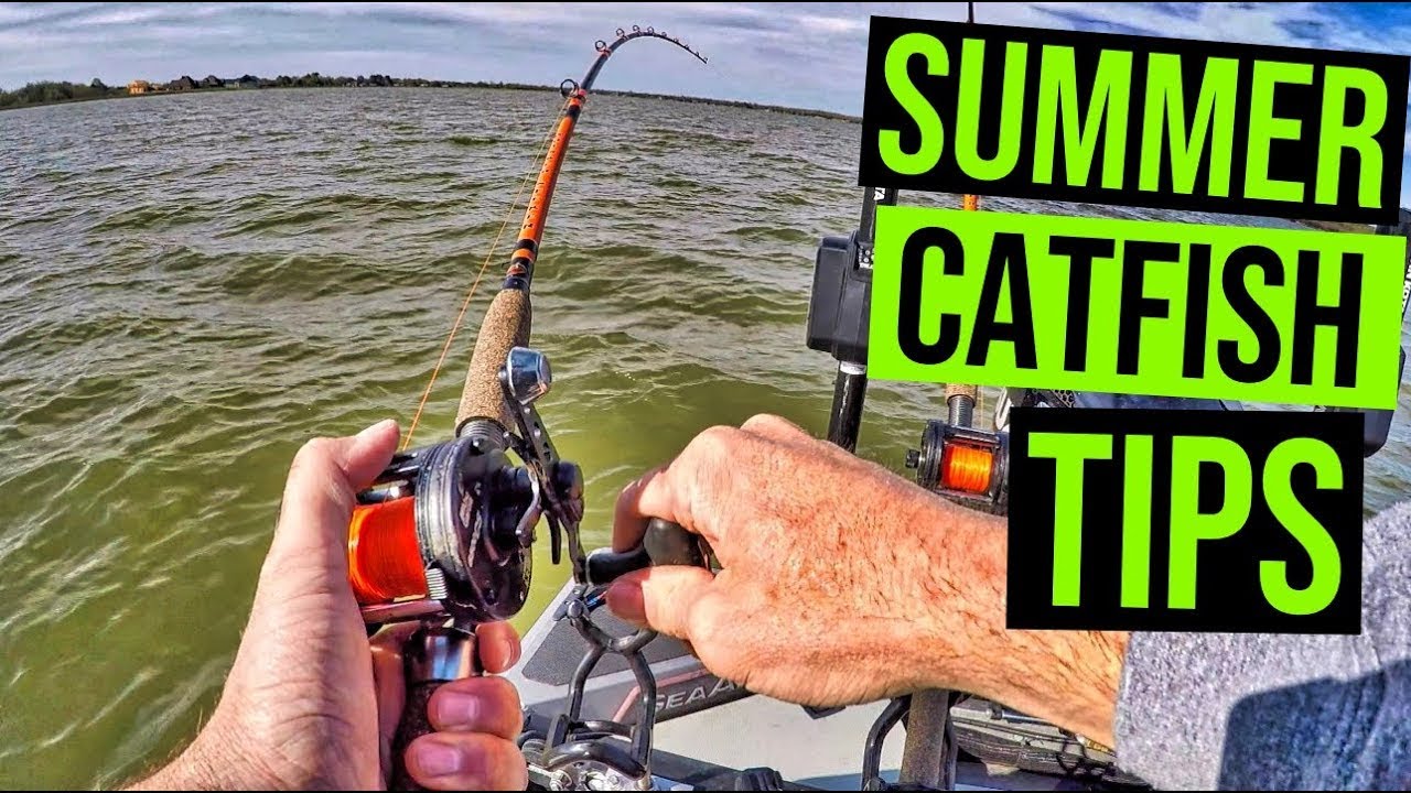 Summer Catfish - Top 10 Tips For Summer Catfishing 
