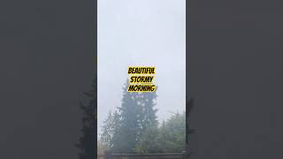 Random day off. #halloween #history #horror #spooky #scary #dark #morning #ghosts #paranormalday