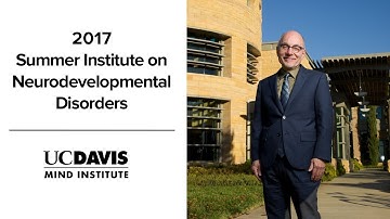 SI 2017: Updates in Research in Neurodevelopmental Disabilities