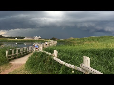 pic flamboyant quebec Cavendish, Île du Prince Édouard (PEI), Canada