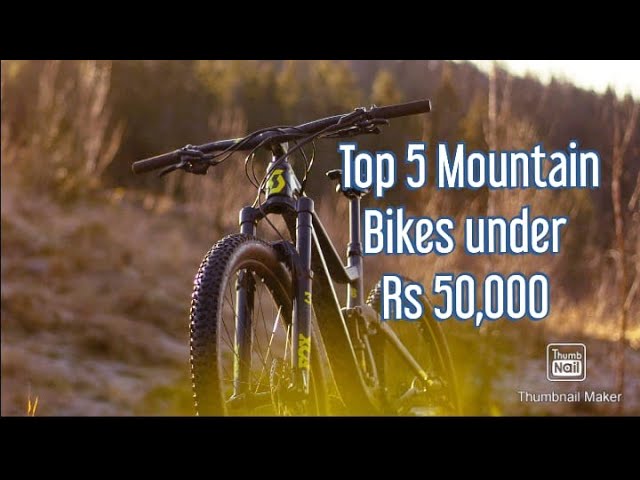 Trek|Polygon|Giant 