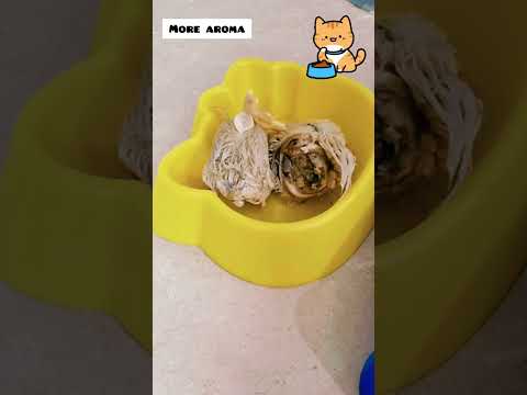 Cara Memasak Kepala Ayam Untuk Kucing