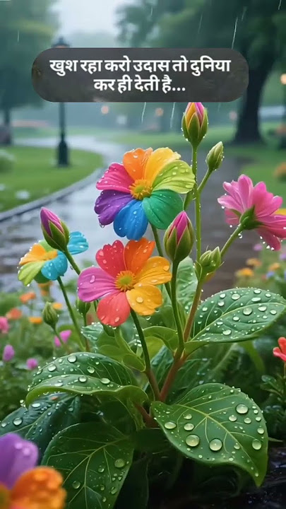 ये मौसम आया है कितने सालों में♥️🧡💛💚💙💜🤎#reels #music#status #love #song #new #barsat#nature