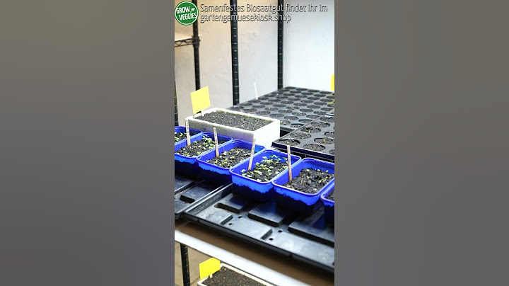 Gemüse selber anbauen - Garten Quick Tipp @Gartengemüsekiosk #shorts