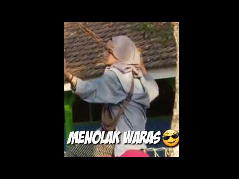 Story Wa Lucu Lagu Entah Apa Yang Merasukimu Youtube