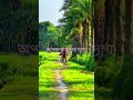 মনটা স্নিগ্ধ হয়ে যায় 😘#short#shortvideo #shortsviral #natural #newshots #nicevideo