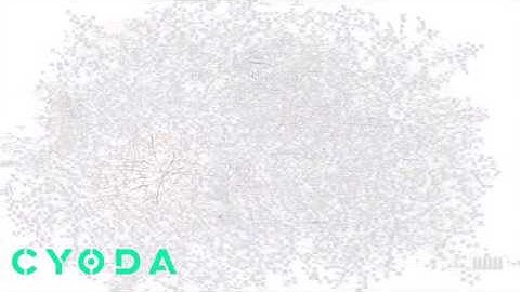 FPML Visualisation Financial Product Markup Language Cyoda