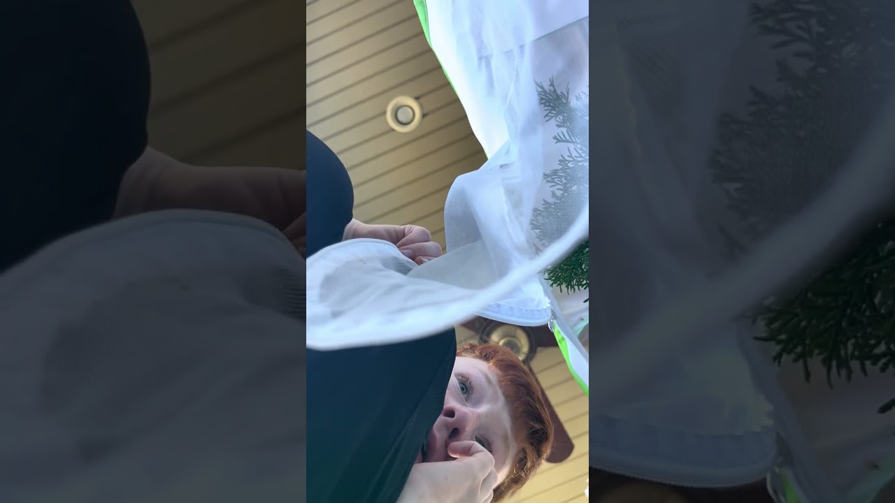 Hanging out outside!