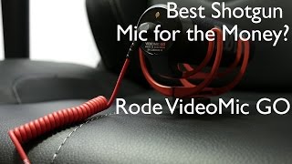 Do I need a Shotgun Mic? | Rode VideoMic GO Review