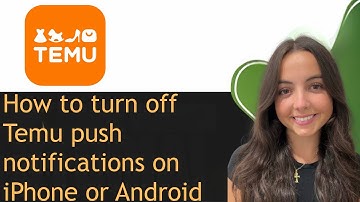 How to turn off Temu push notifications on iPhone or Android