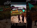இயேசு என்ற நாமத்தினால்