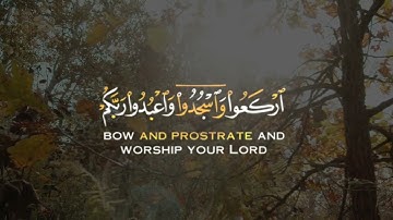 القارئ عبد الرحمن مسعد { ياآيها الذين آمنوا اركعوا واسجدوا واعبدوا ربكم وافعلوا الخير لعلكم تفلحون}