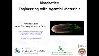 "Biorobotics: engineering with agential materials"