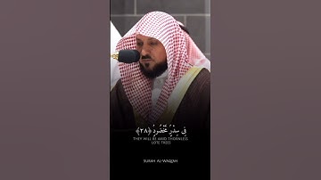 تلاوة مباركة خاشعة بصوت يلامس القلوب #اكسبلور #المصحف #لايك #القران #حالات_واتس #خطبه #راحة_نفسية