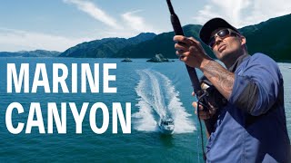 Deep sea fishing New Zealand (500m+) | Local guide in Kaikoura