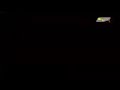 تيمي تيرنر قانون الكونغ فو