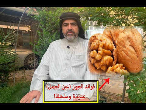فوائد الجوز عين الجمل عديدة ومذهلة قناة بيت الداء