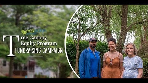 Tree Canopy Equity Program Fundraising Campaign
