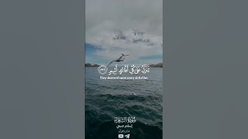 تلاوة خاشعة من سورة #الشعراء بصوت #اسلام_صبحي ❤#القرآن_الكريم