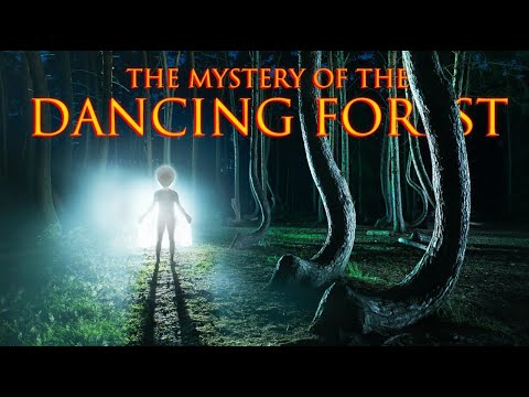 Video: Anomalous Zone Of The Curonian Spit, A Dancing Forest - Alternative View