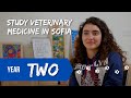 Second Year as a Veterinary Medicine student - Subjects, Exams, Tips | University of Forestry, Sofia