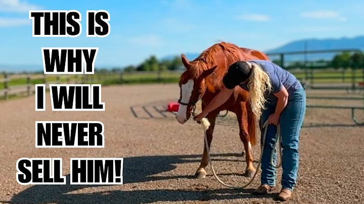 This horse would be dangerous for most people ~ But I love him!