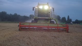 moisson de blé 2016 avec deux claas!!!