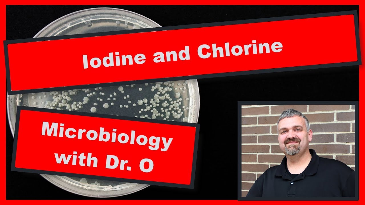 Antimicrobial Halogens Iodine And Chlorine