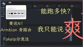 2024斐讯N1还能用的爽吗N1运行Singbox搭配ROS/爱快分流