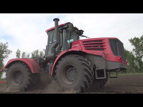 Video: Kartoffelanbau in Sibirien. Timing, Methoden, notwendige Düngemittel