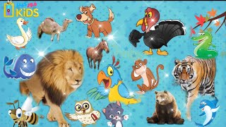 تعلم اسماء الحيوانات والطيور والاسماك والحشرات| فور كيدز | Learn the names of animals, birds, fish