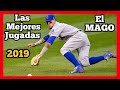 (MLB) Javier Báez LAS MEJORES JUGADAS (El Mago) [baseball compilation]